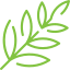 palm.png