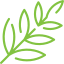 palm.png